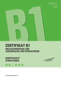 Goethe Zertifikat B1 Deutschprufung Fur Jugendliche Und Erwachsene Wortschatz